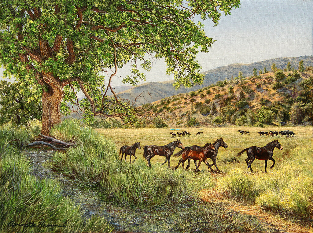 Mustang Valley